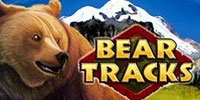 bear-tracks